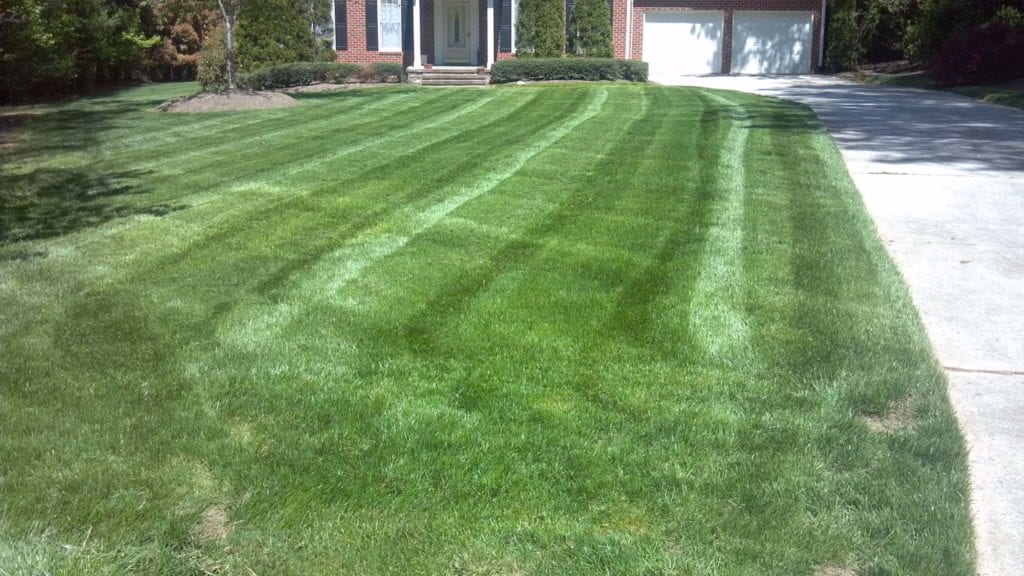 Raleigh, North Carolina Lawn Mowing Services