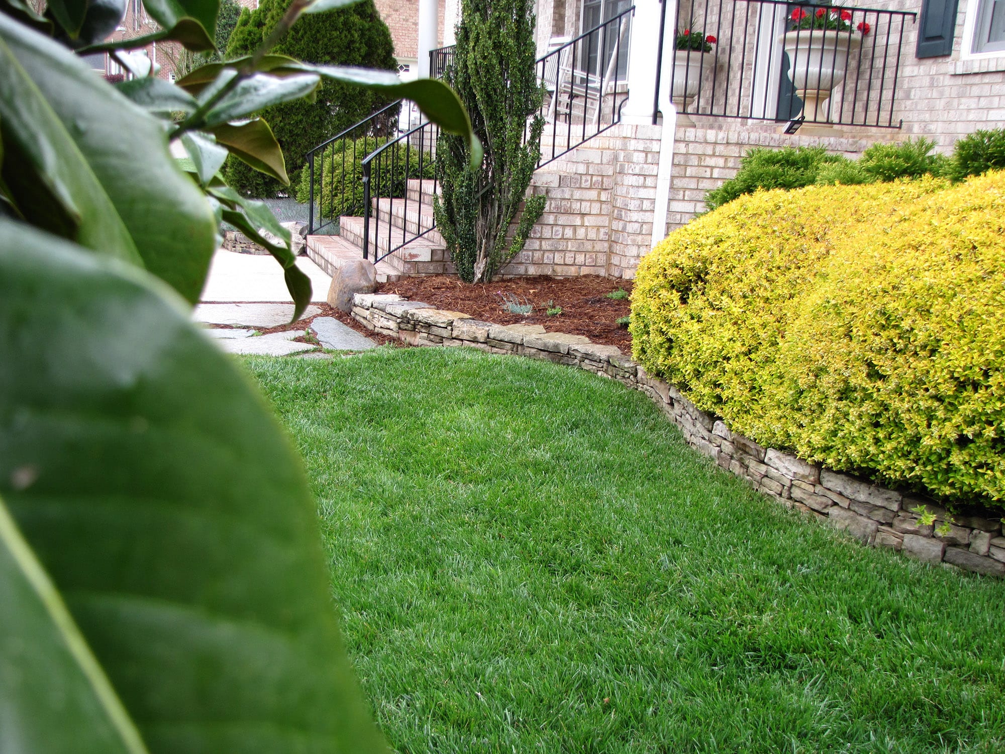 Cary, North Carolina Lawn Mowing Services