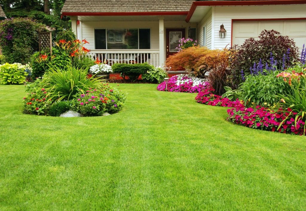 Expert Landscape Contractors Showcasing Raleigh Nc Homes